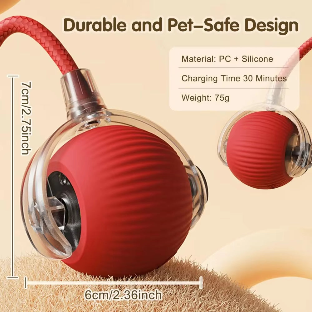 PurrChase – Smart Auto-Rolling Toy Ball
