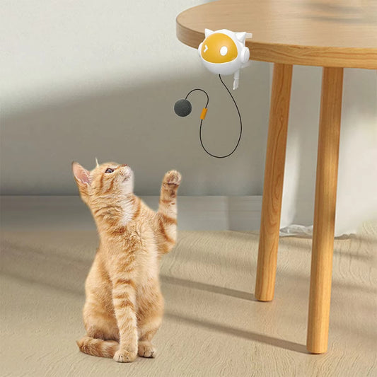 WhiskerWhirl – Clip-On Electric Cat Teaser