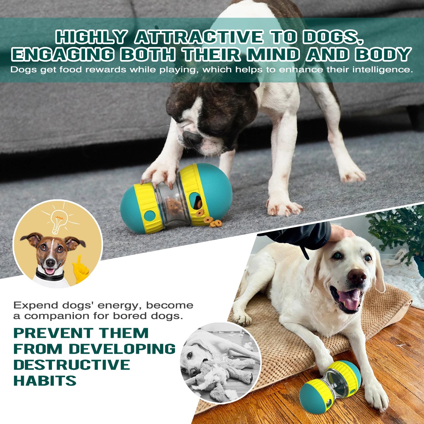 RolliFeast – Treat Dispensing Slow Feeder Ball