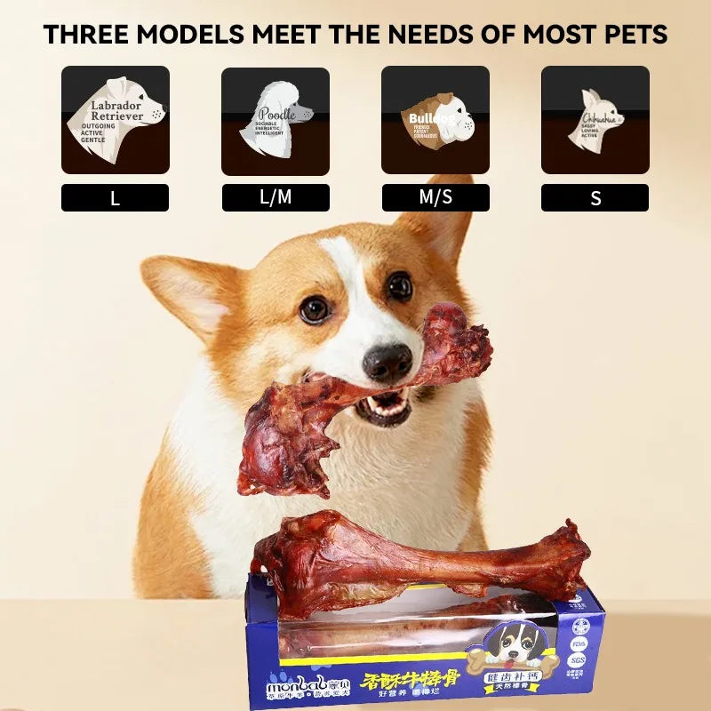 PawCrunch – Crispy Beef Stick Bone for Dogs