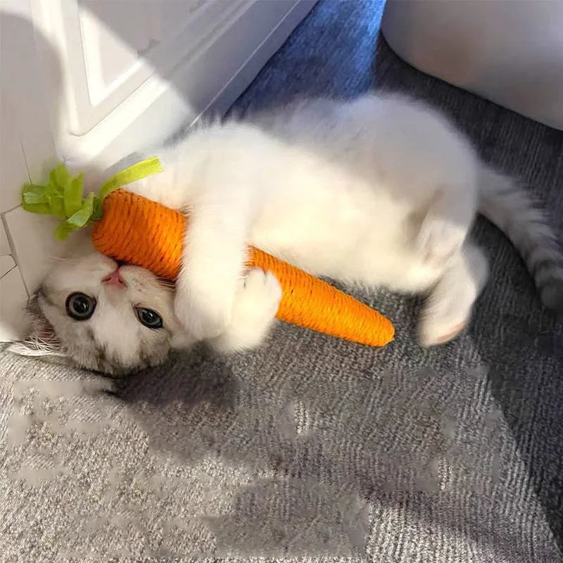 KittyChew – Carrot Sound Cat Toy