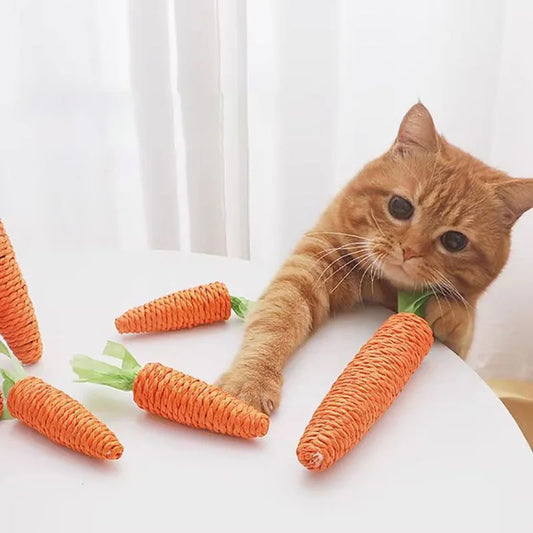 KittyChew – Carrot Sound Cat Toy