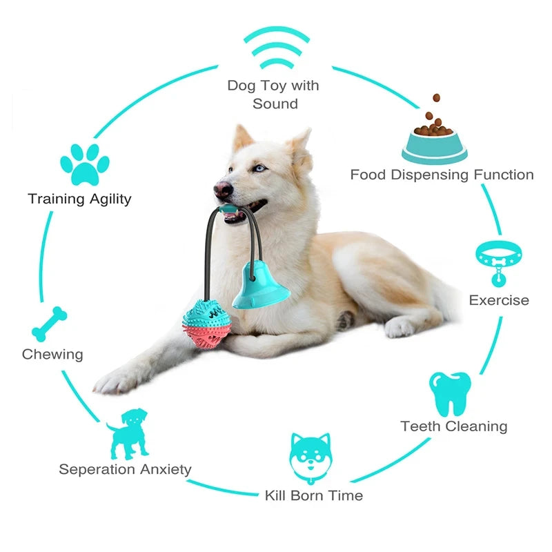 Tugroo – Interactive Suction Cup Dog Toy