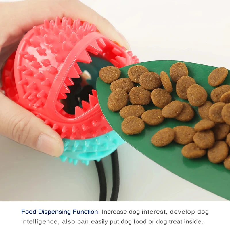 Tugroo – Interactive Suction Cup Dog Toy