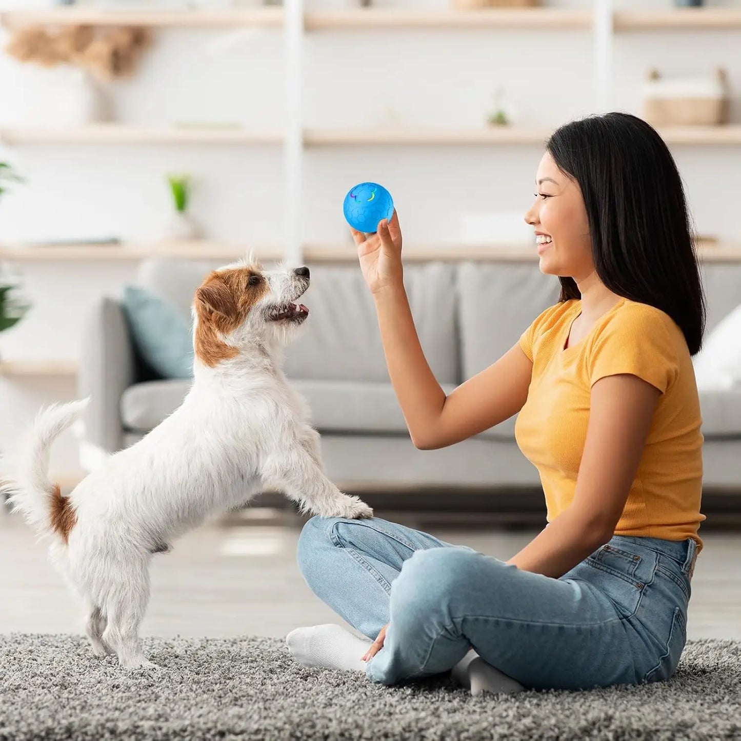 LumiPaw – Smart LED Dog Ball