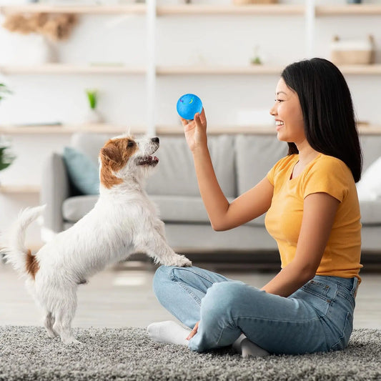 LumiPaw – Smart LED Dog Ball