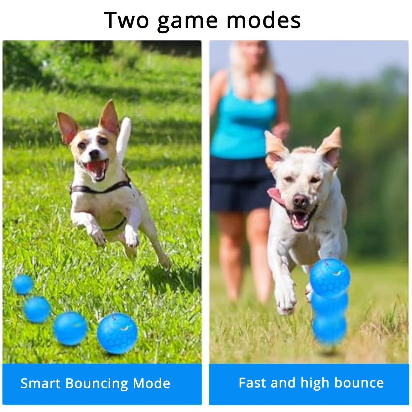 LumiPaw – Smart LED Dog Ball