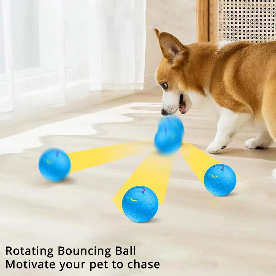 LumiPaw – Smart LED Dog Ball