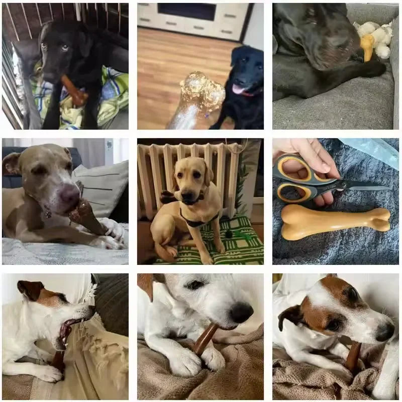 ChewTuff – Indestructible Dog Bone Toy