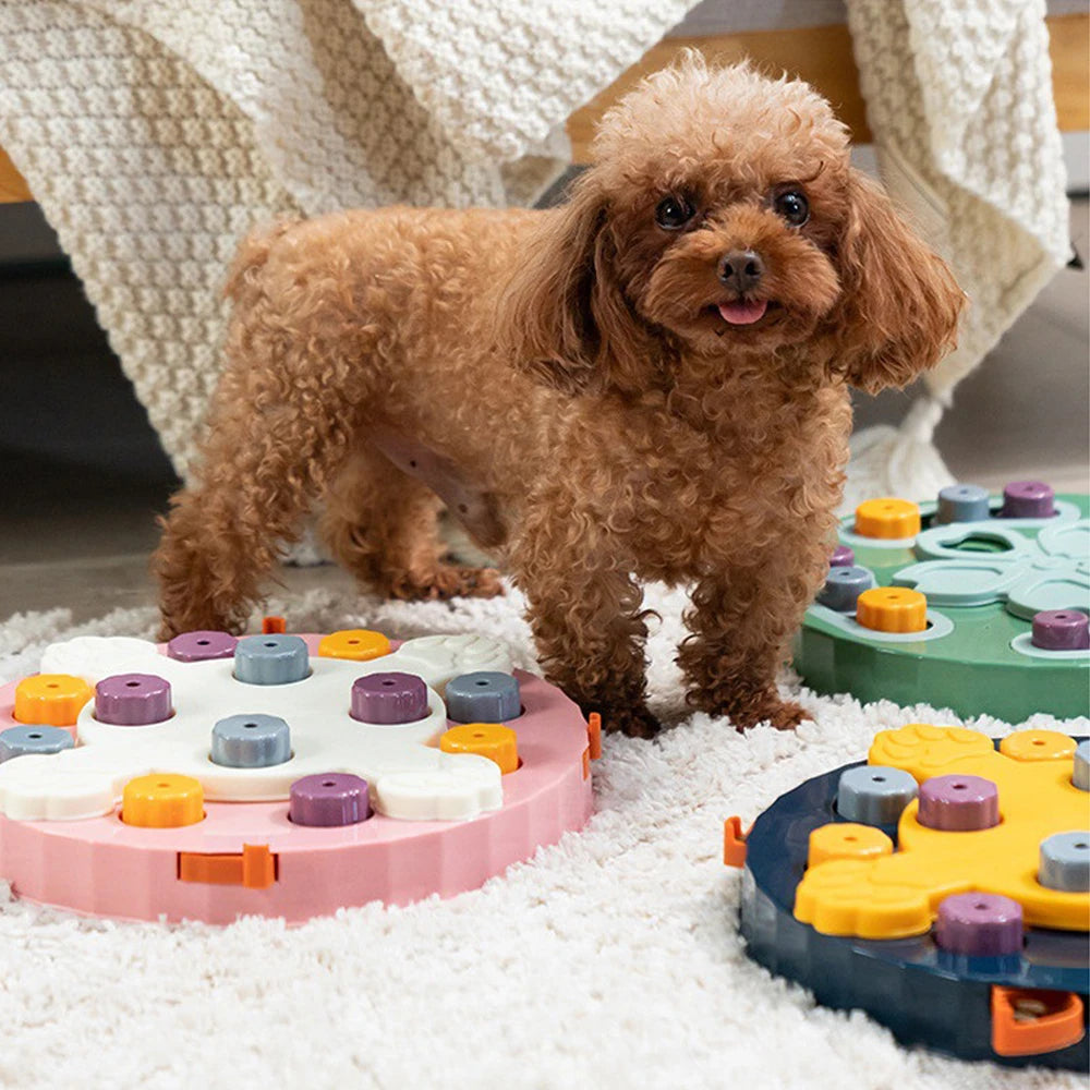 PetsQuest – Interactive Cat Puzzle Feeder