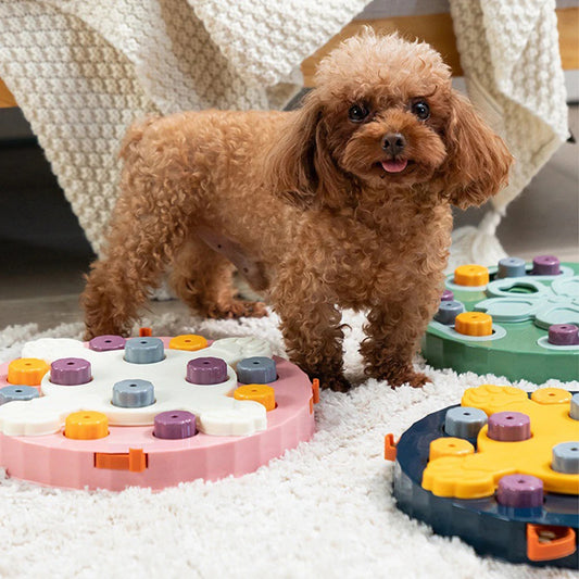 PetsQuest – Interactive Cat Puzzle Feeder