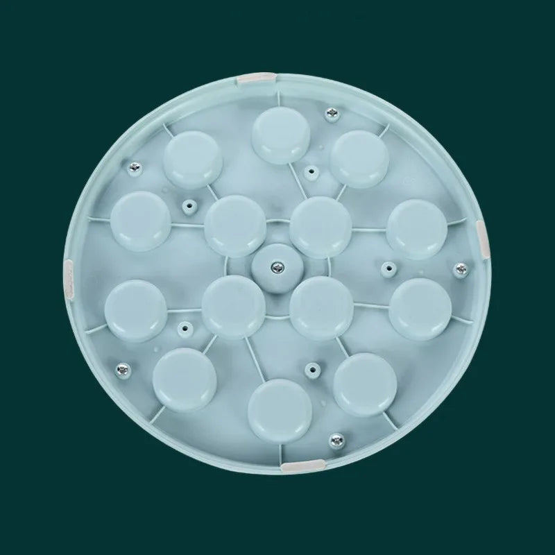 FeediQuest – Interactive Slow Feeder Puzzle Bowl