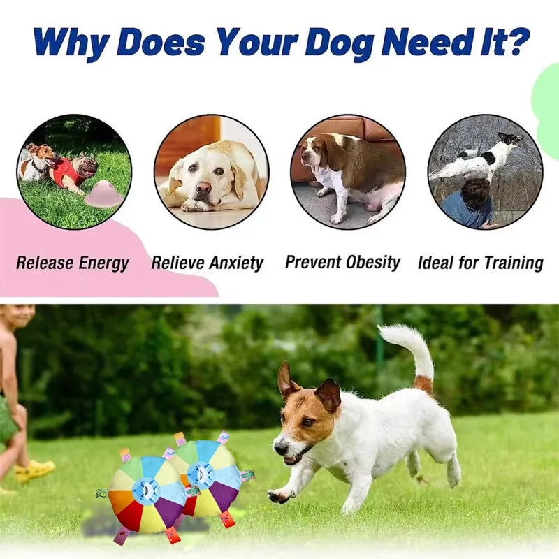 PawOrbit – Rainbow Plush Flying Saucer Dog Toy