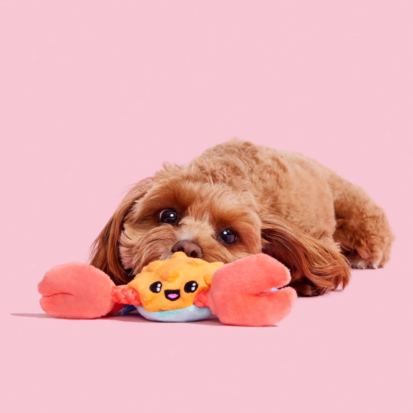 ClawMate – Sally the Crab Plush Dog Toy