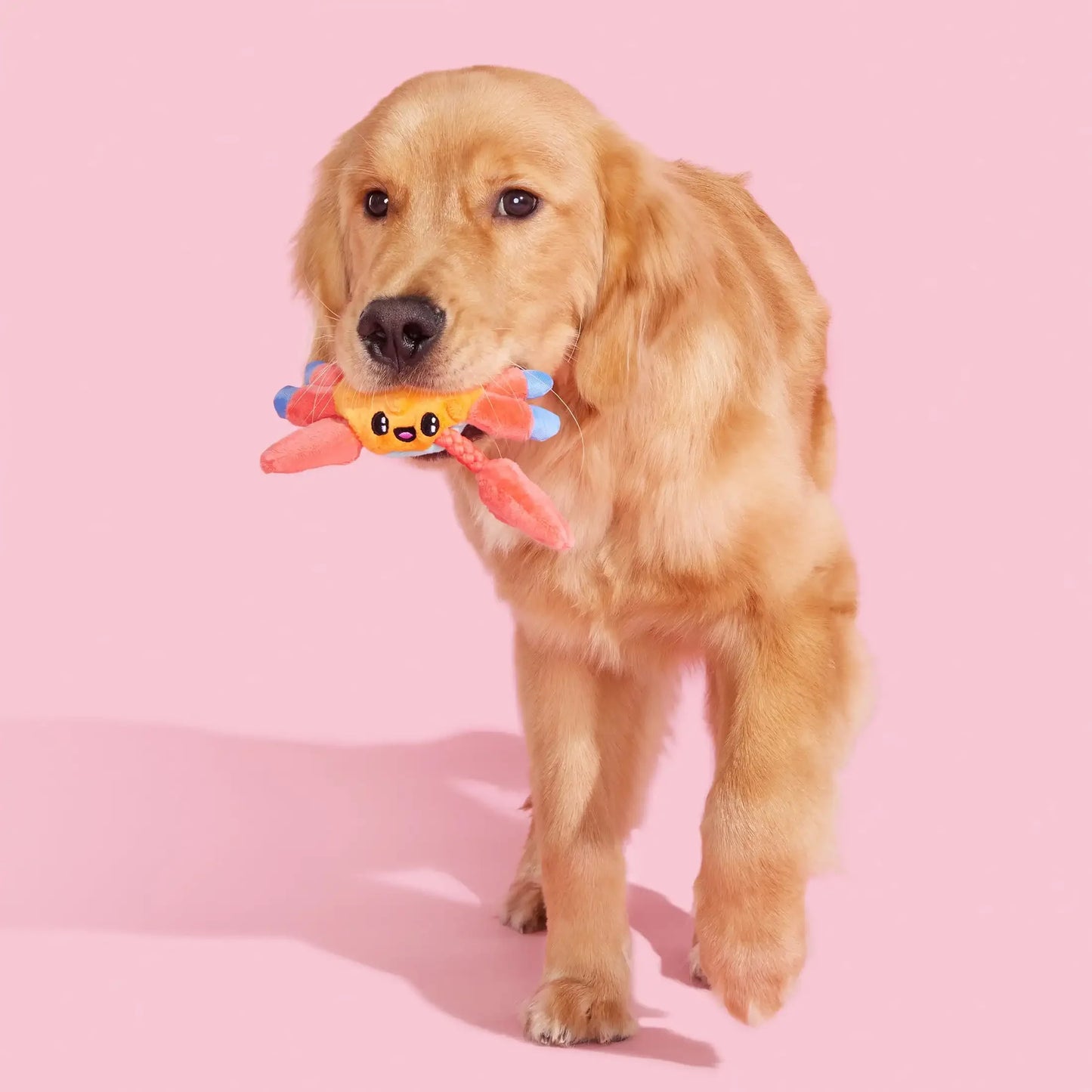 ClawMate – Sally the Crab Plush Dog Toy
