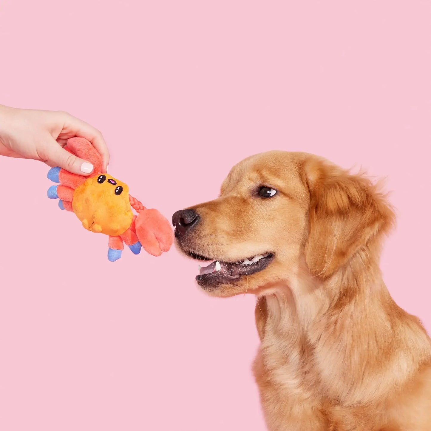 ClawMate – Sally the Crab Plush Dog Toy
