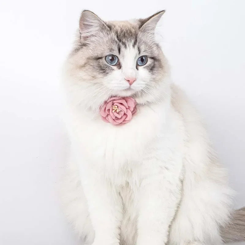 PawBlossom – Camellia Flower Pet Collar