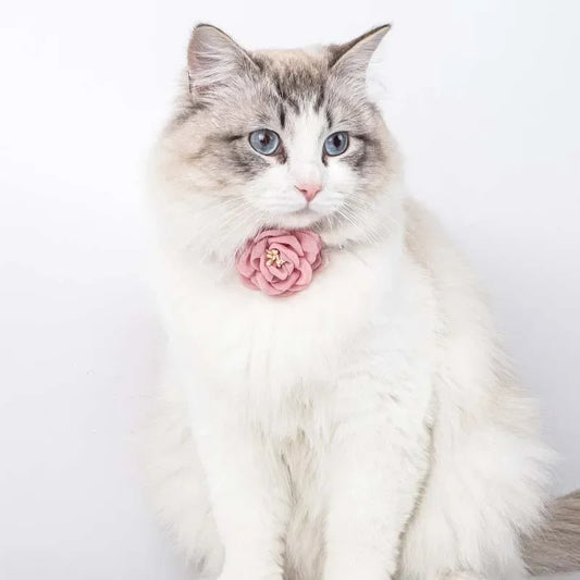 PawBlossom – Camellia Flower Pet Collar