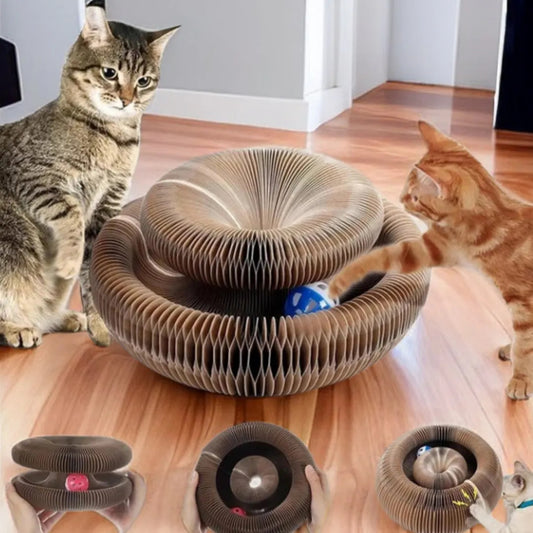 Purrado – Round Cat Scratch & Play Ball Board