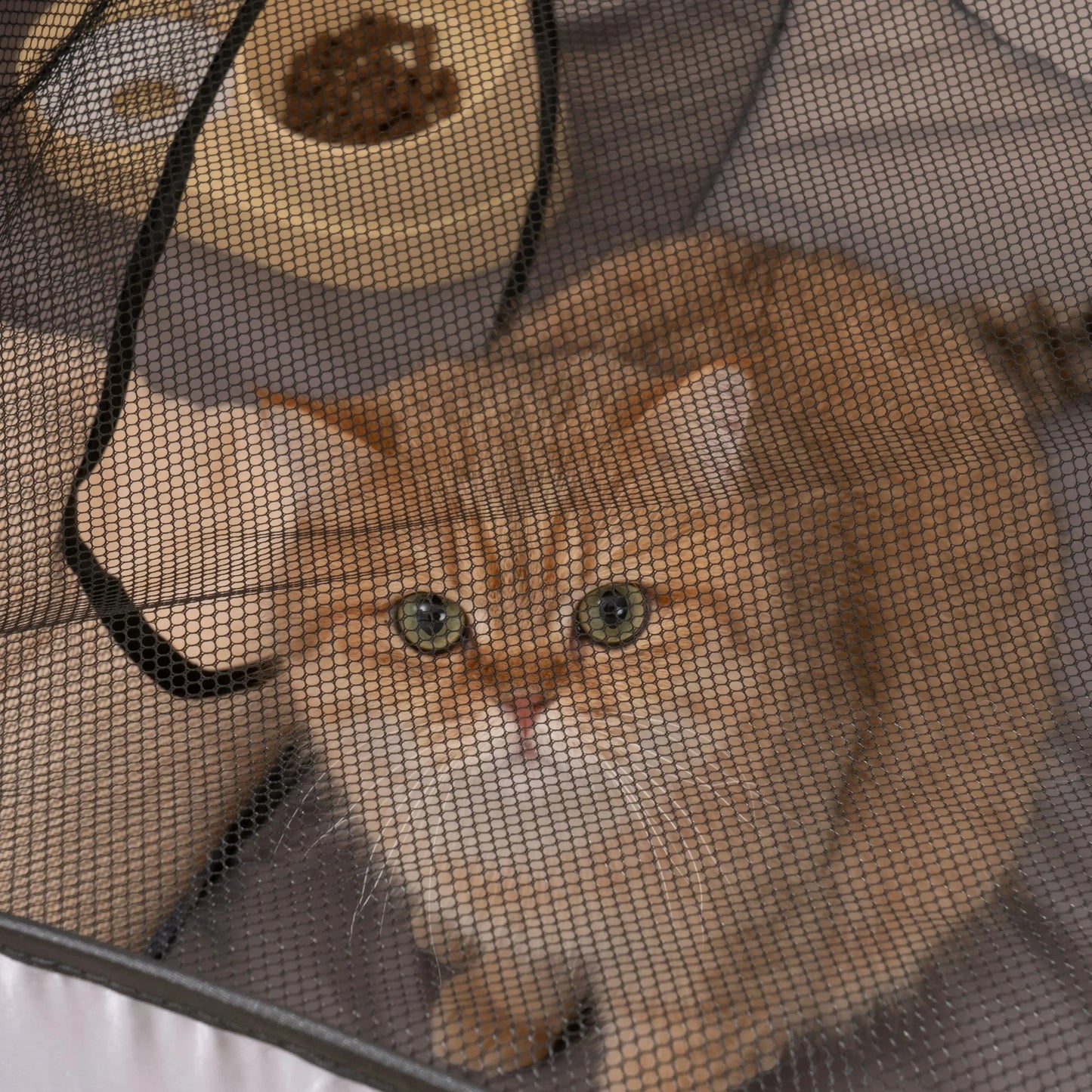 Pawrium – Foldable Oxford Pet Nest with Play Tunnel