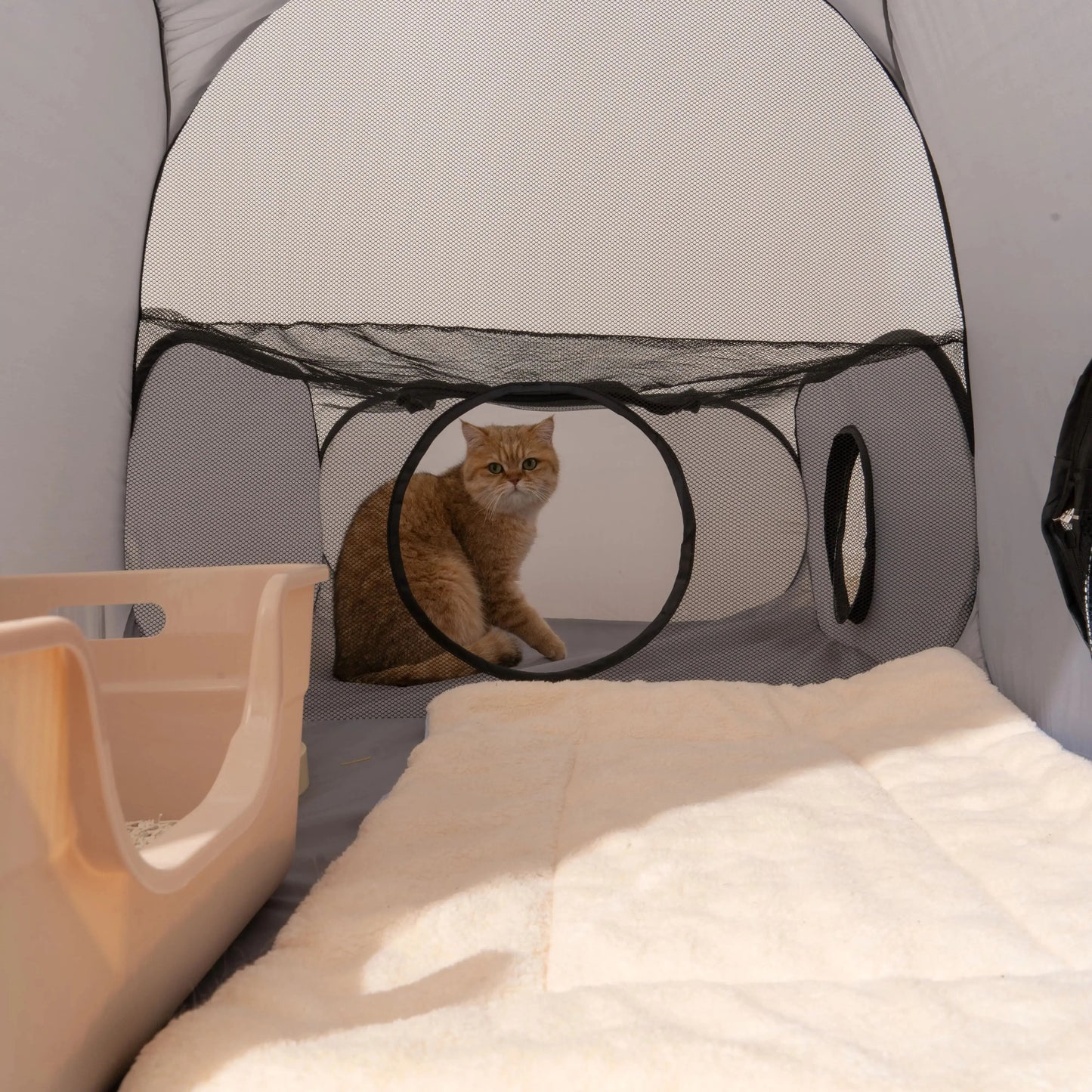 Pawrium – Foldable Oxford Pet Nest with Play Tunnel