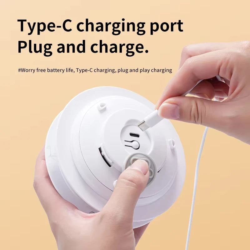 Whiskora – Interactive Cat Toy Kit