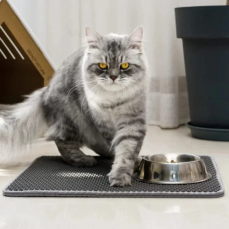 PawMat – Double Layer Cat Litter Mat