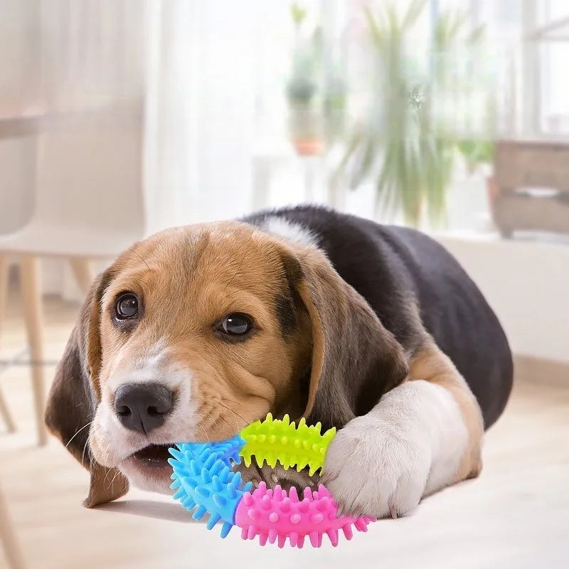 ChewCircle – Multicolor Puppy Dental Chew Toy Set