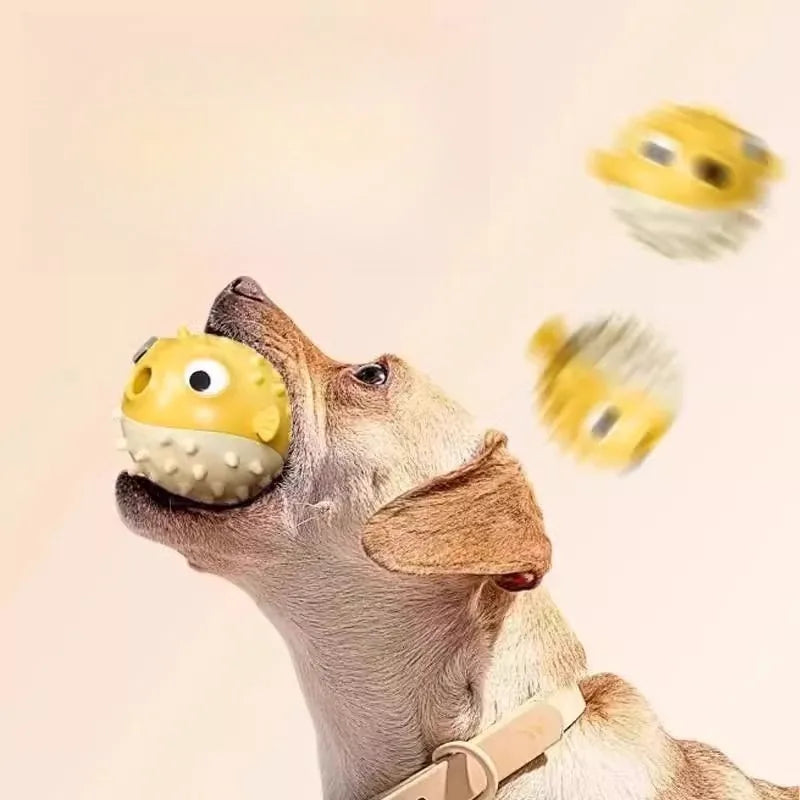 BounceFish – TPR Bouncing Dog Toy with Sound