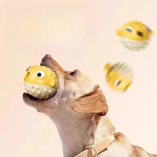 BounceFish – TPR Bouncing Dog Toy with Sound