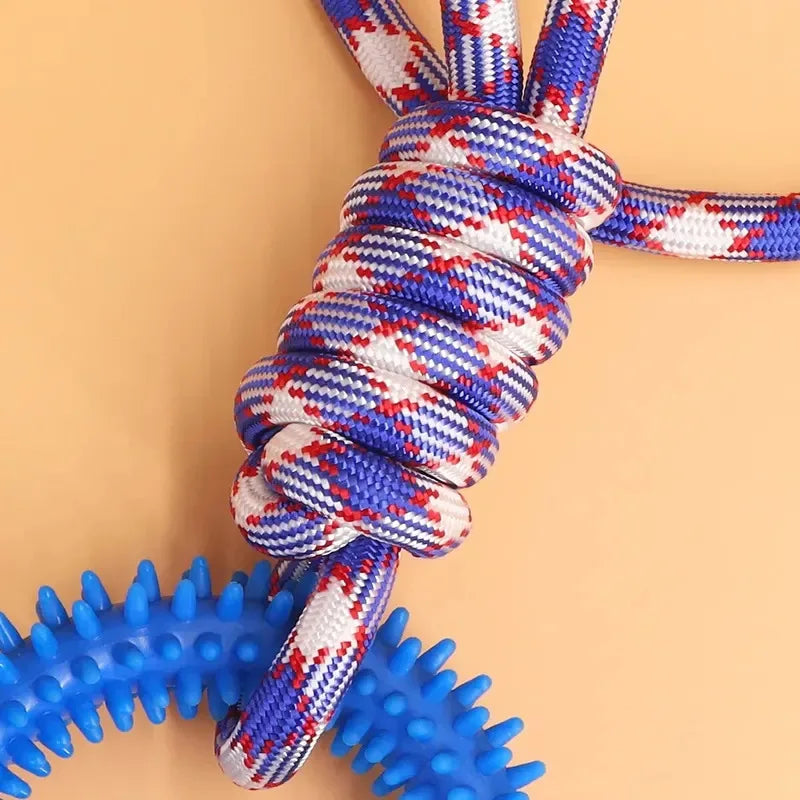 ChewSpin – Spiked Interactive Dog Training & Dental Toy
