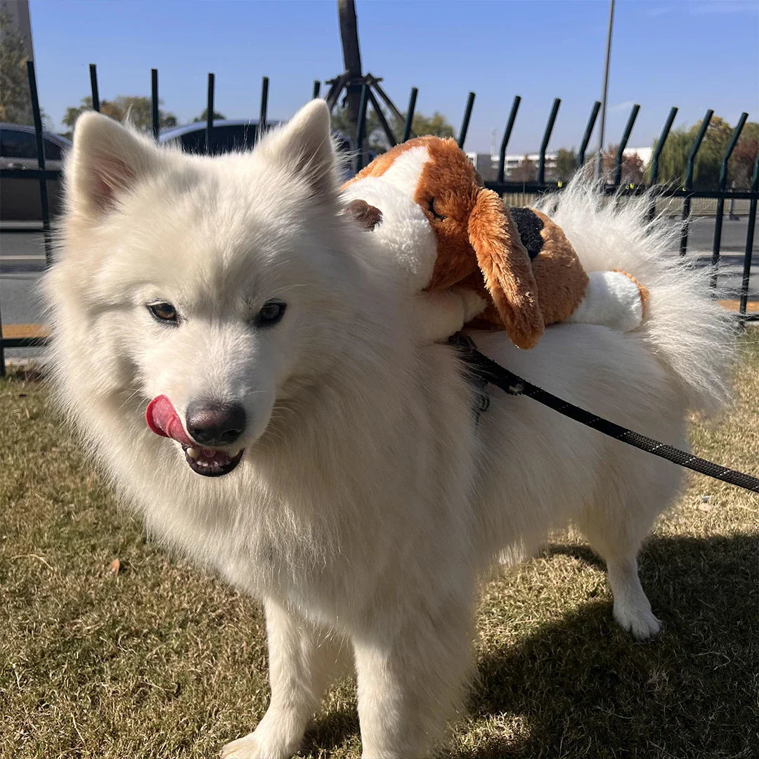 PawPulse – Interactive Puppy Heartbeat Comfort Toy