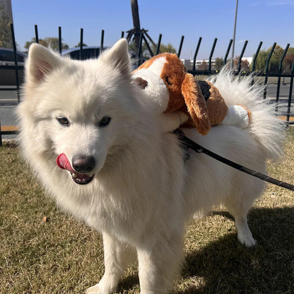 PawPulse – Interactive Puppy Heartbeat Comfort Toy