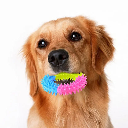 ChewCircle – Multicolor Puppy Dental Chew Toy Set