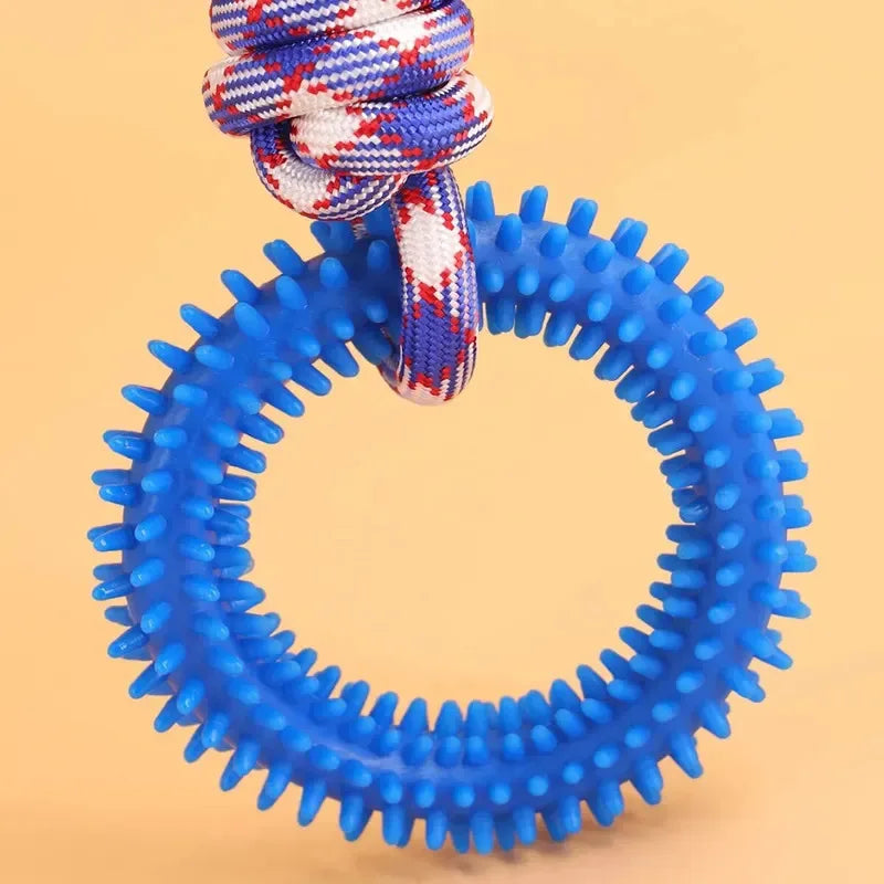 ChewSpin – Spiked Interactive Dog Training & Dental Toy