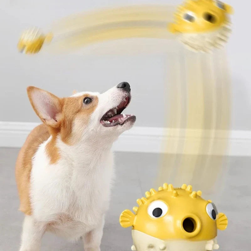 BounceFish – TPR Bouncing Dog Toy with Sound