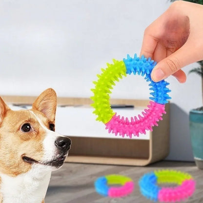 ChewCircle – Multicolor Puppy Dental Chew Toy Set