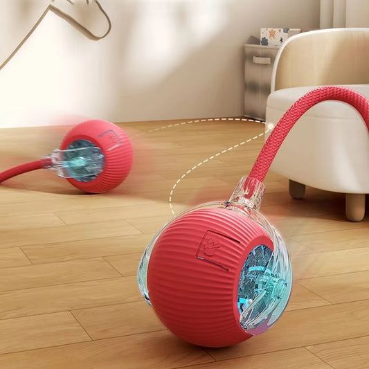 PurrChase – Smart Auto-Rolling Toy Ball
