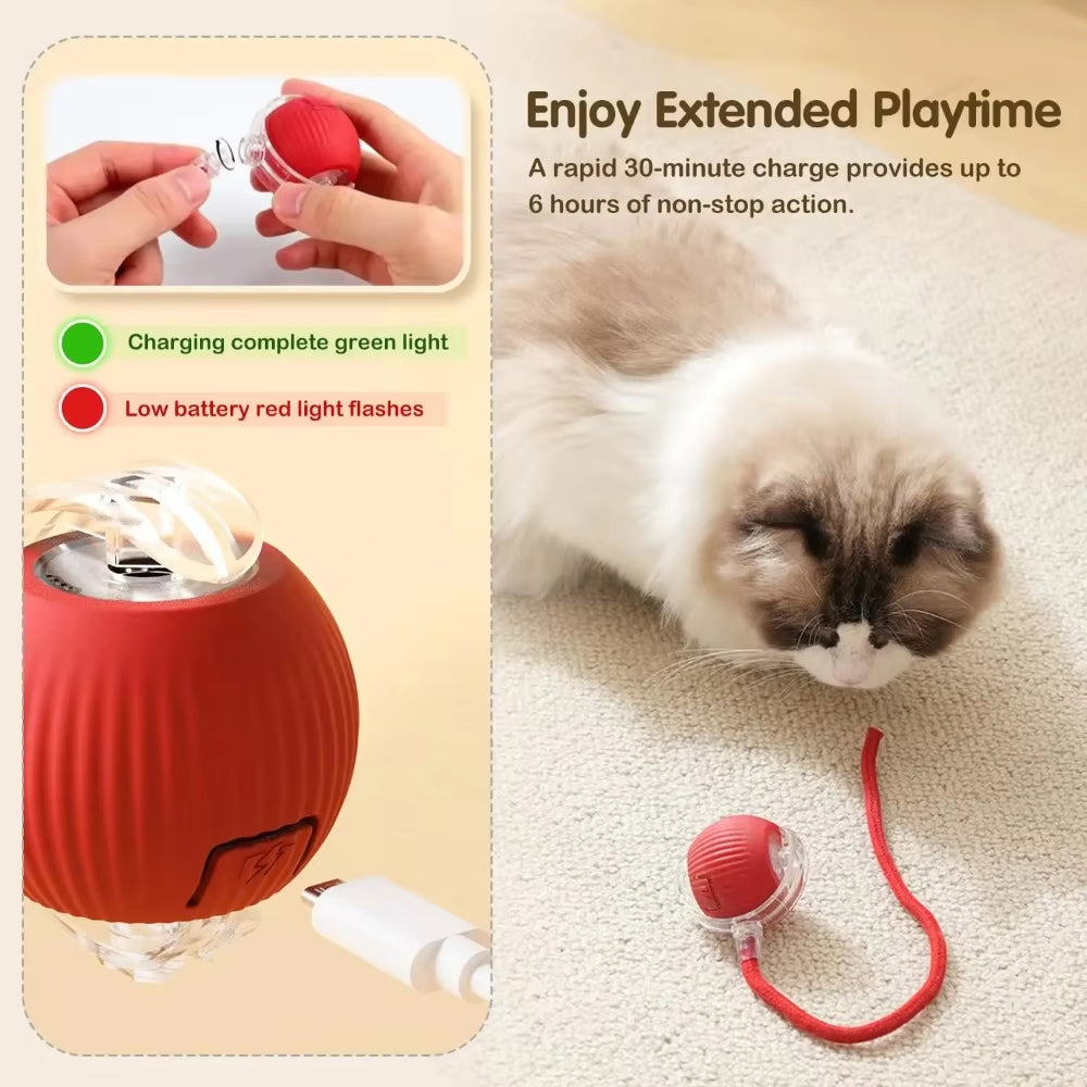 PurrChase – Smart Auto-Rolling Toy Ball