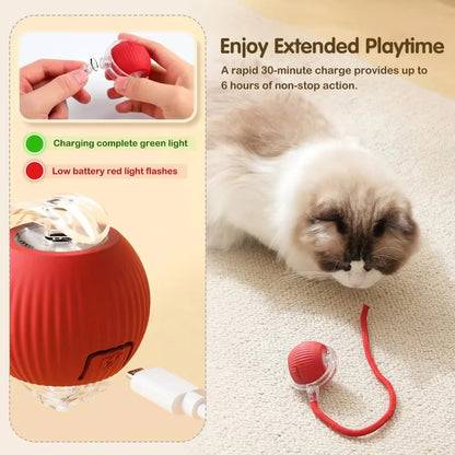 PurrChase – Smart Auto-Rolling Toy Ball