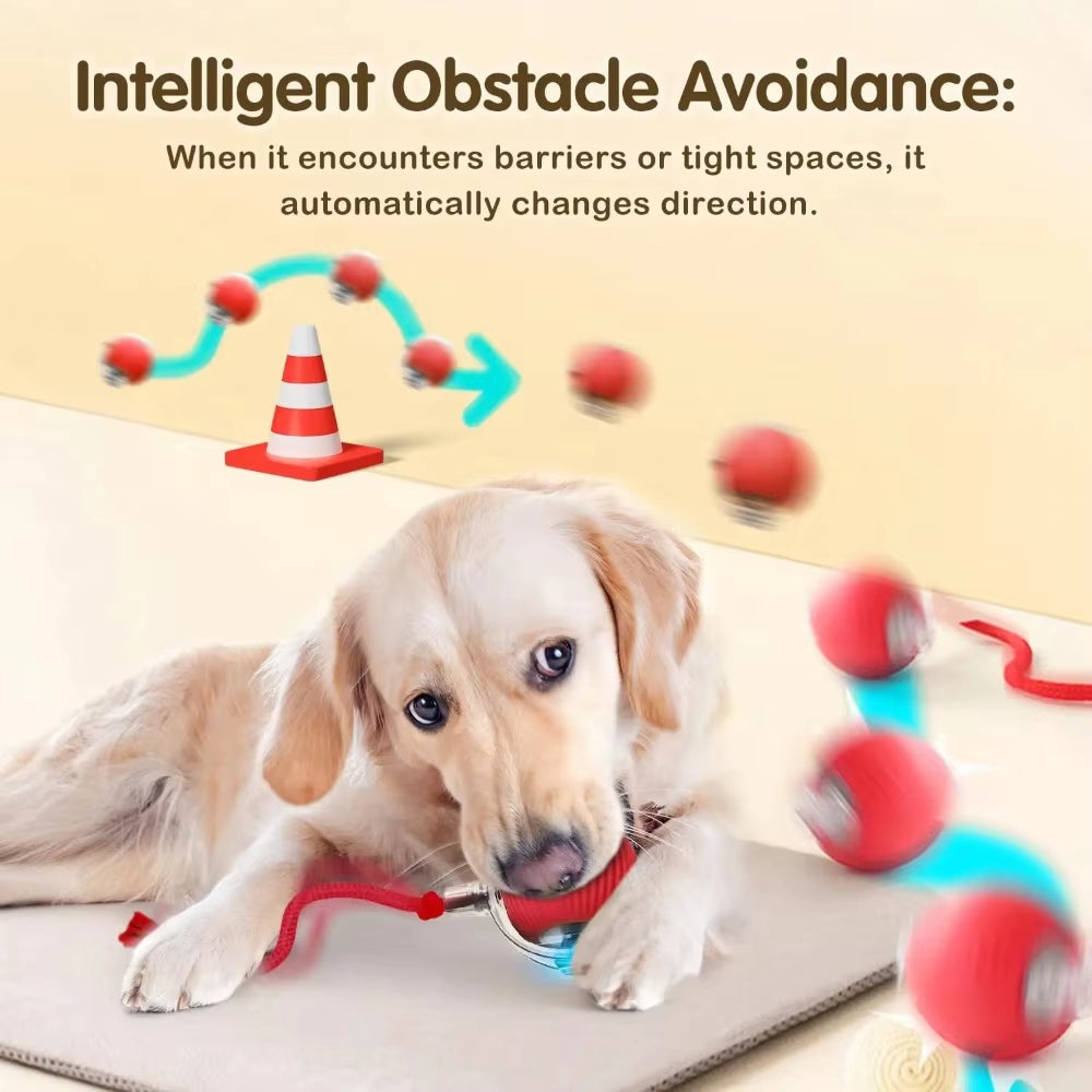 PurrChase – Smart Auto-Rolling Toy Ball