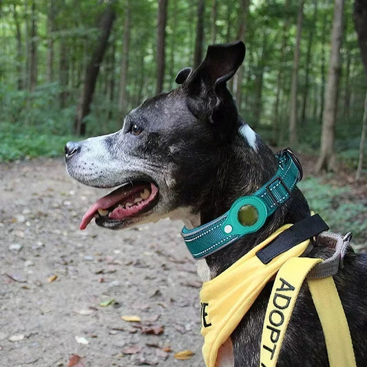 SafePup – Dog Collar with Airtag Case