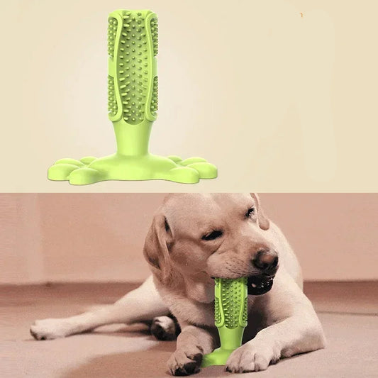 PawCactus – Interactive Rubber Chew Toy