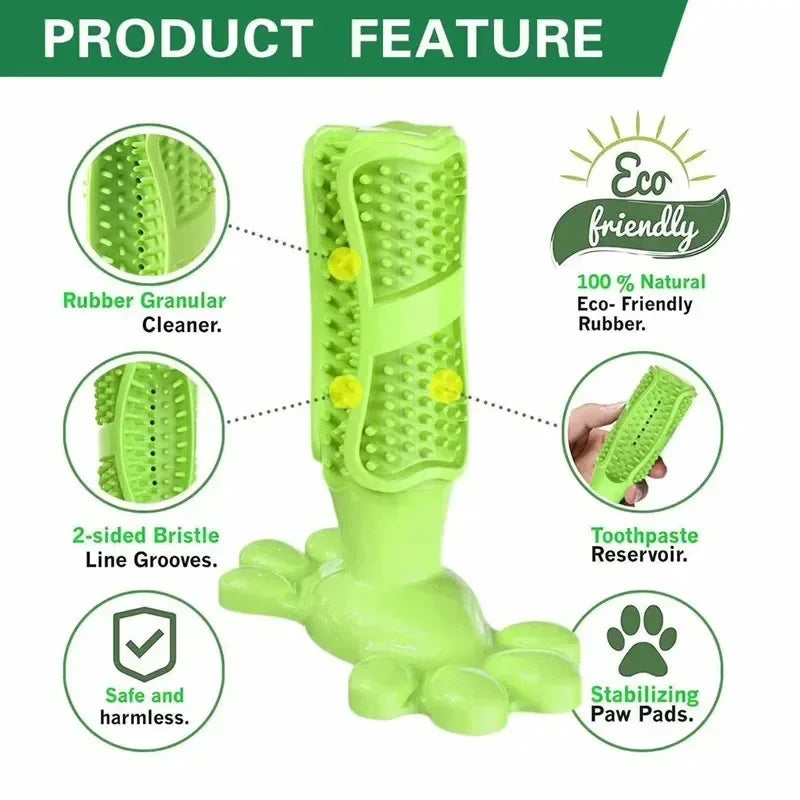 PawCactus – Interactive Rubber Chew Toy
