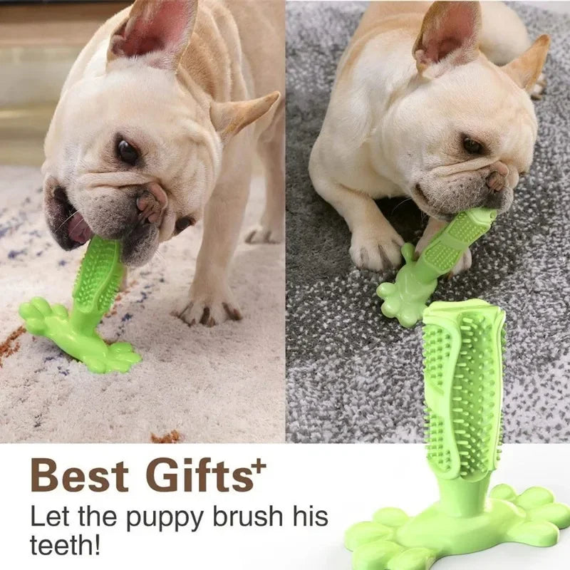 PawCactus – Interactive Rubber Chew Toy