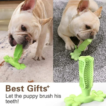 PawCactus – Interactive Rubber Chew Toy