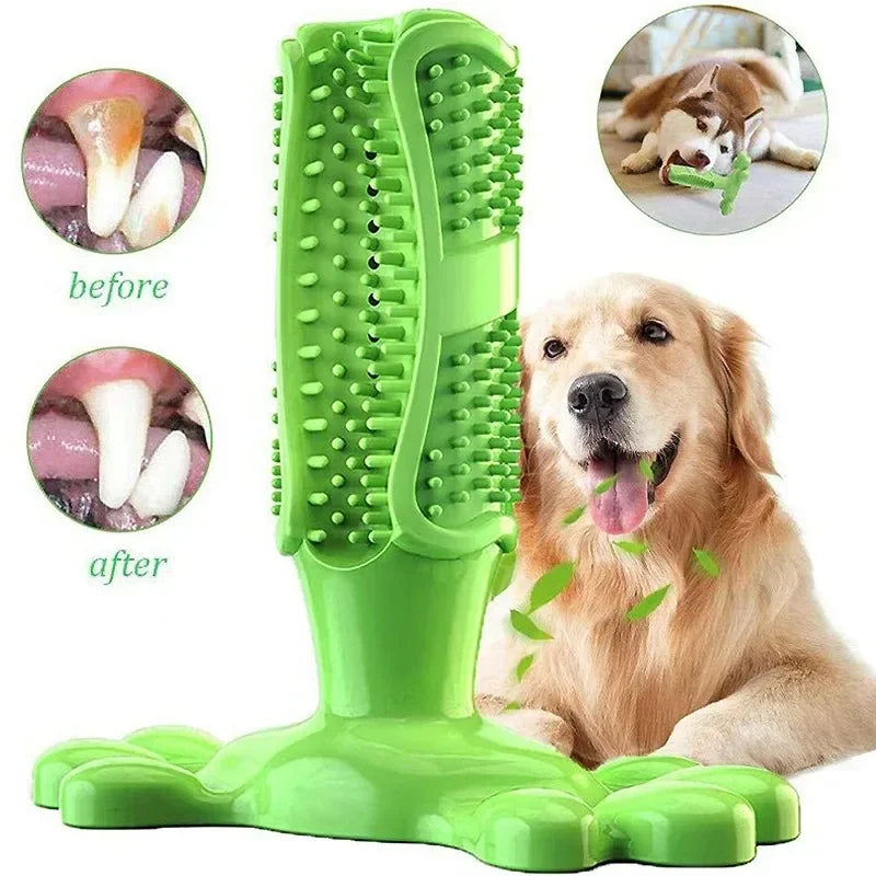 PawCactus – Interactive Rubber Chew Toy