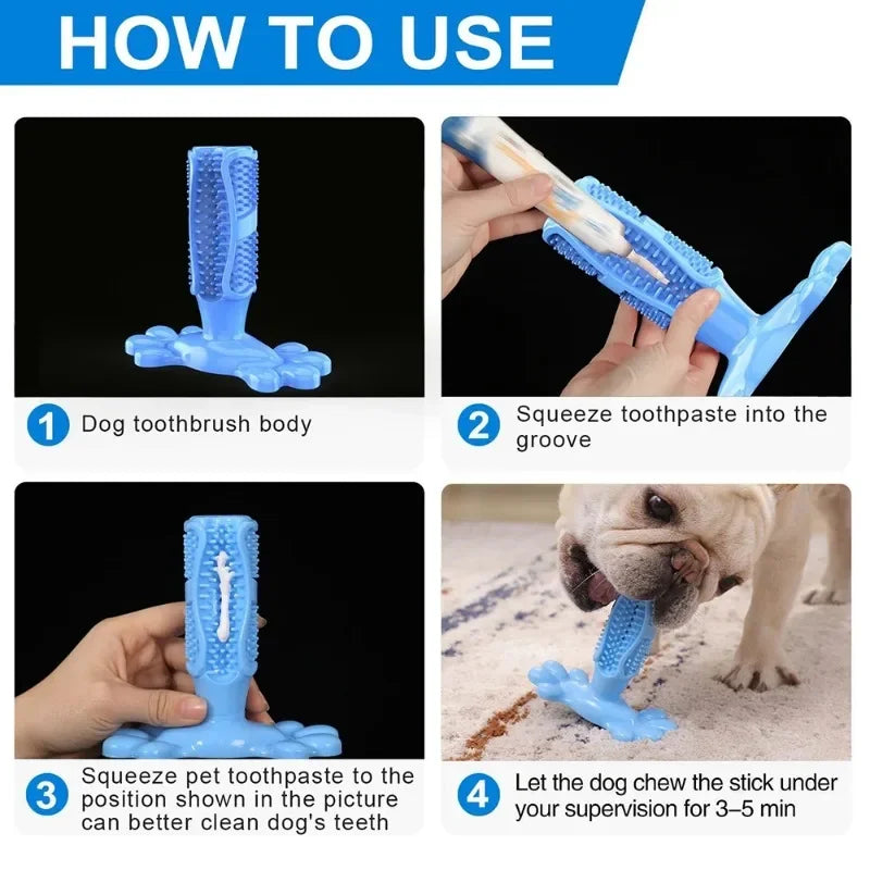 PawCactus – Interactive Rubber Chew Toy