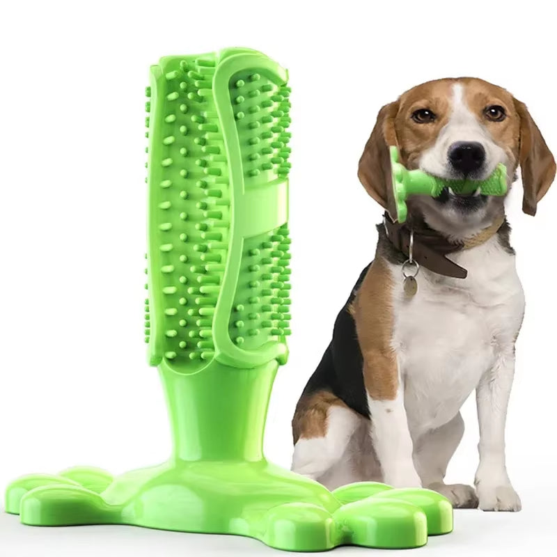 PawCactus – Interactive Rubber Chew Toy
