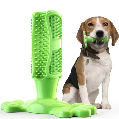 PawCactus – Interactive Rubber Chew Toy